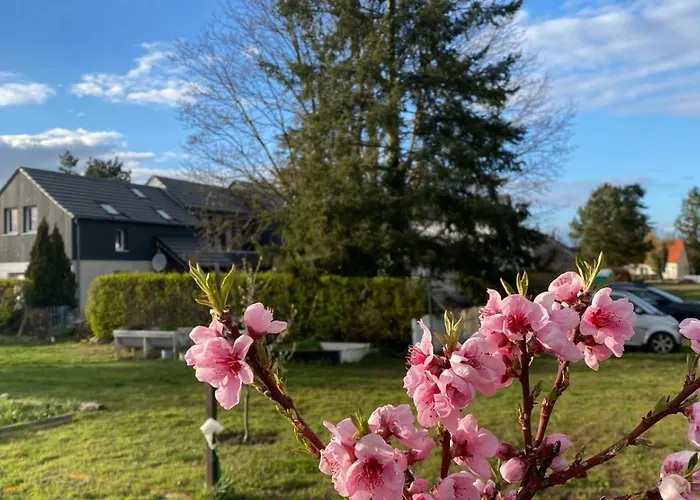 Lotte Havelland بيت للعطل *